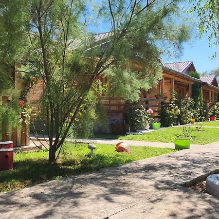 Hotel La Podul Gornii à Gornea Extérieur photo
